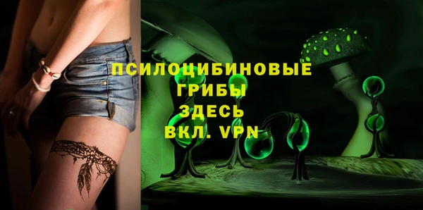 PSILOCYBIN Абдулино