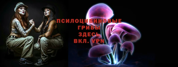PSILOCYBIN Абдулино