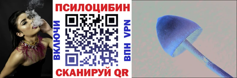 Галлюциногенные грибы Cubensis  нарко площадка какой сайт  Искитим  как найти  